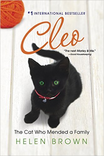 Cleo-the-cat-who-mended-a-family