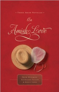 an-amish-love an-amish-love