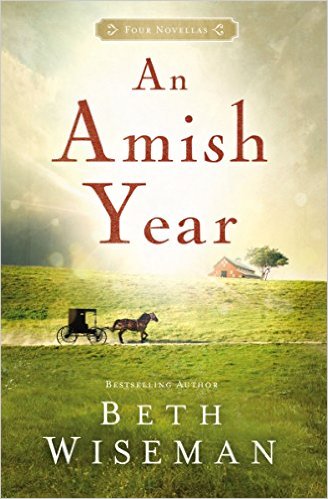 An Amish Year